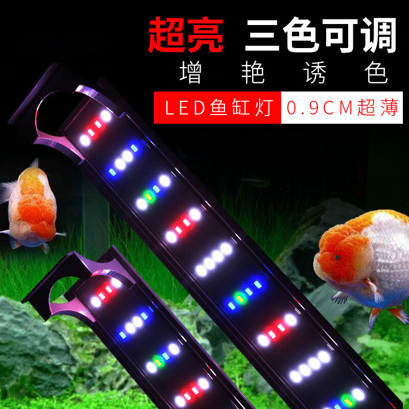 水草燈