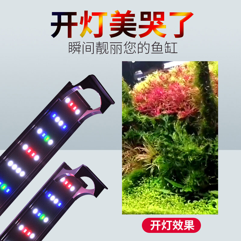 水草燈