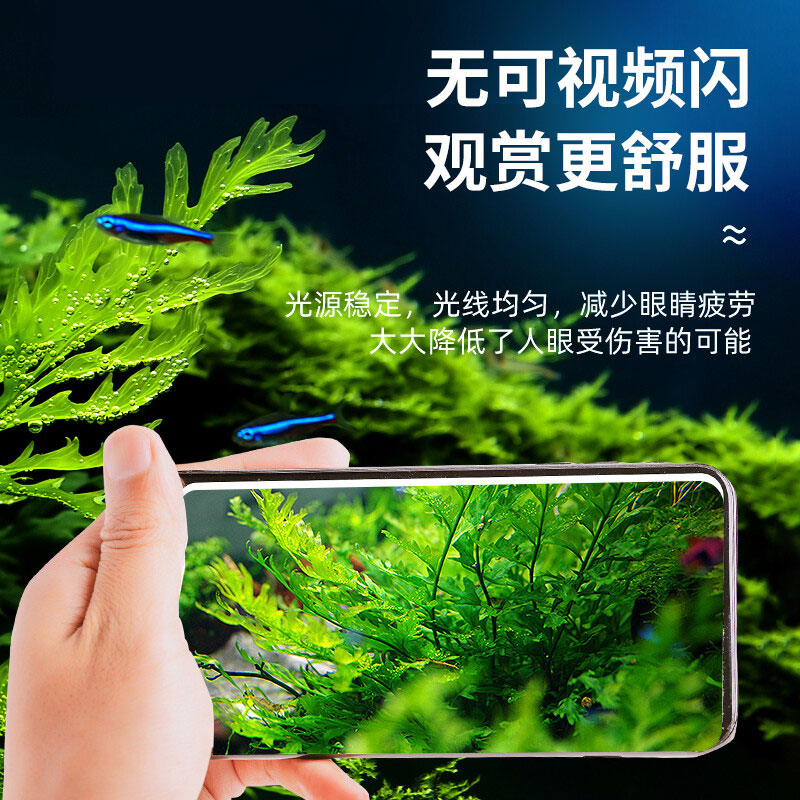 水草燈