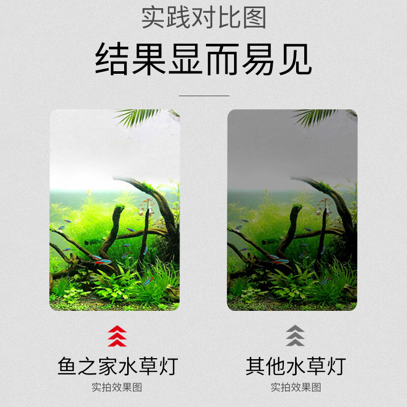 水草燈
